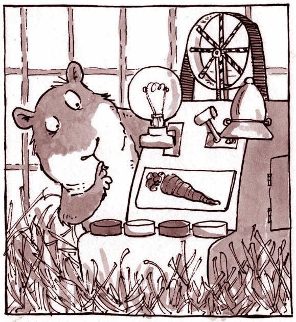 Mike Nicholson - author, writer, children's author, consultant, Scotland, UK